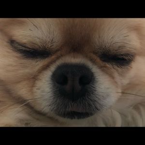 Meet your Posher, Jimmy